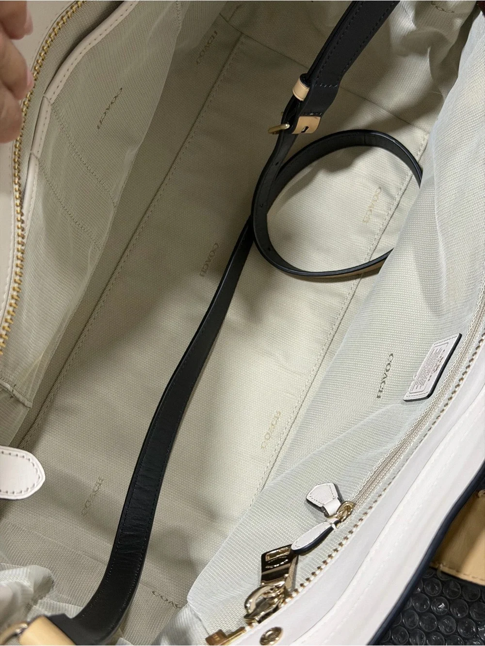 Coach swagger adjustable everyday